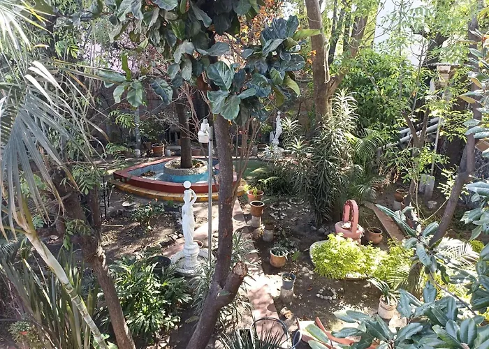 Apartment Gardenias *