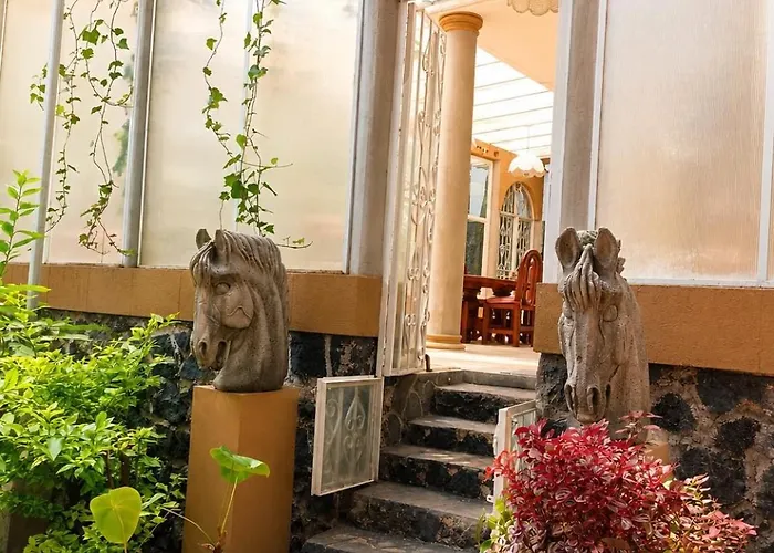 Gardenias * Mexico City